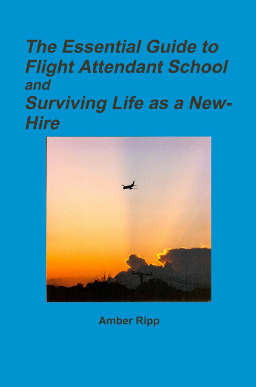 The Essential Guide to Flight Attendant School and Surviving Life as a New-Hire book