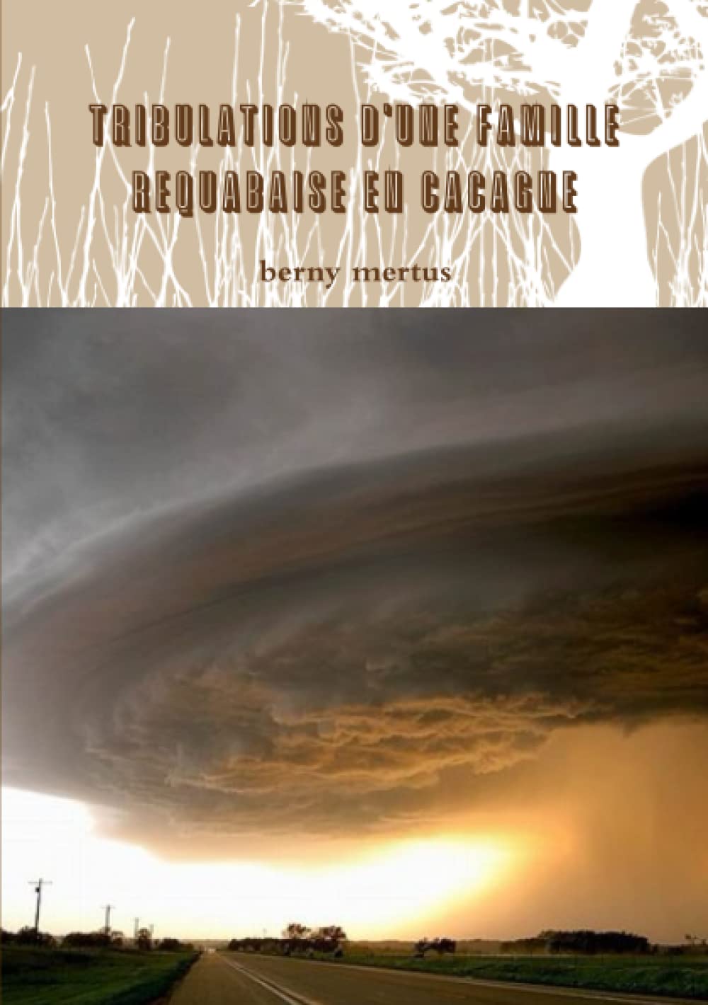 Tribulations d'une famille requabaise en Cacagne book