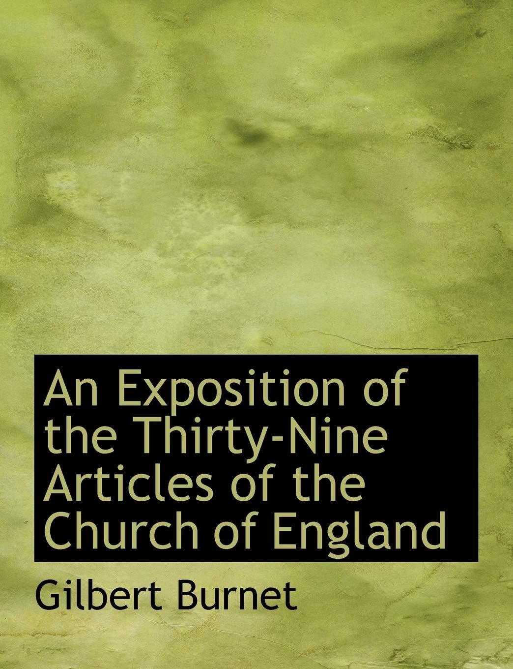 An Exposition of the Thirty-nine Articles of the Church of England Politics & History