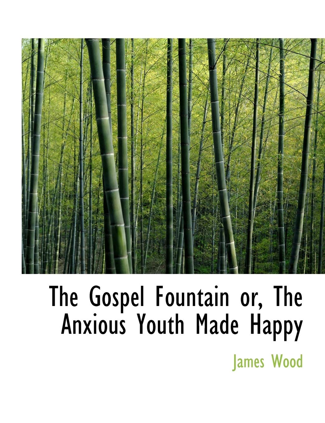The Gospel Fountain Or, the Anxious Youth Made Happy Politics & History