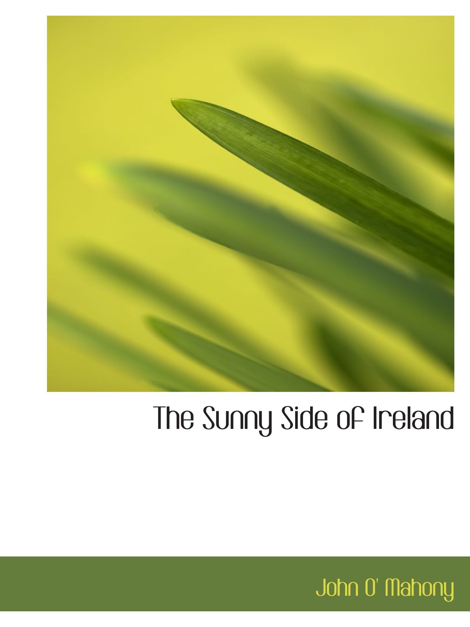 The Sunny Side of Ireland Politics & History