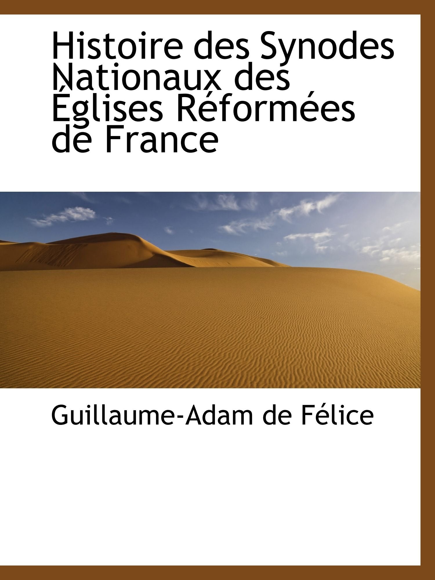 Histoire des Synodes Nationaux des Églises Réformées de France Politics & History