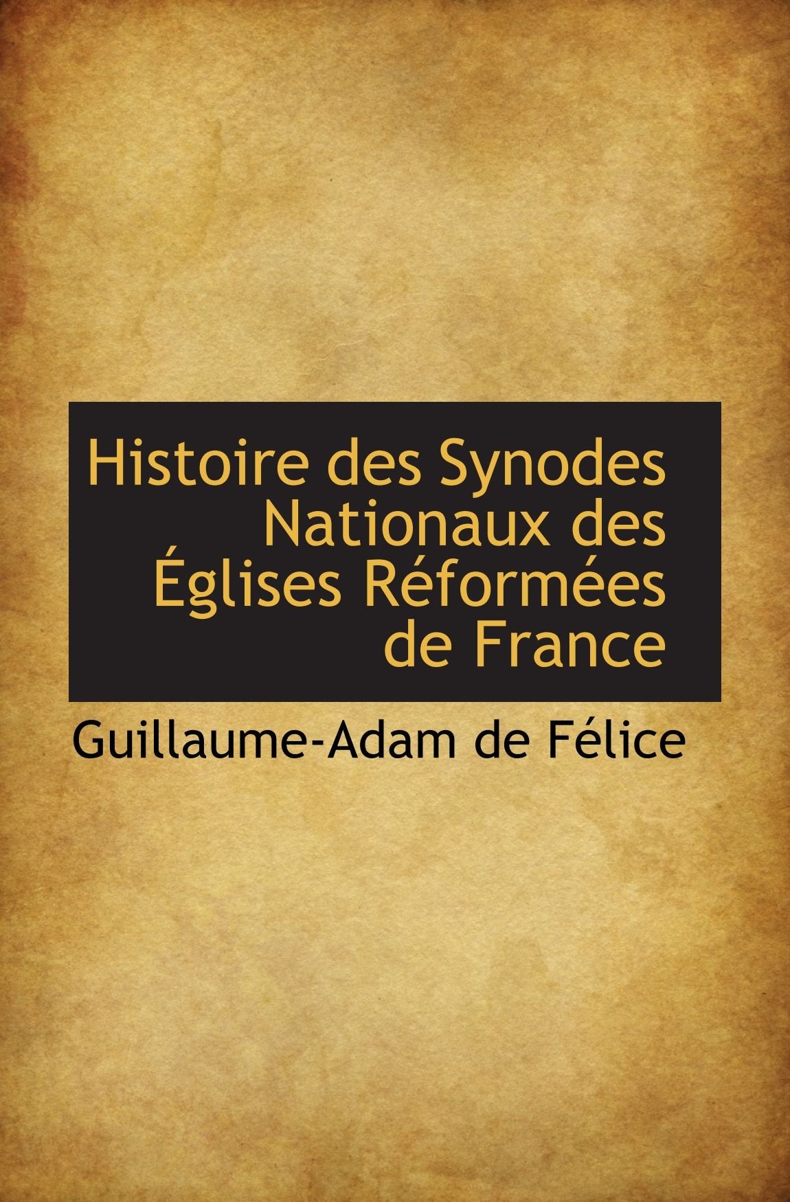 Histoire des Synodes Nationaux des Églises Réformées de France Politics & History