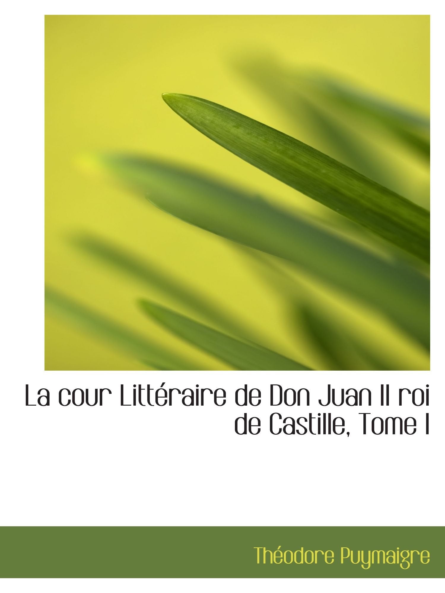 La cour Littéraire de Don Juan II roi de Castille, Tome I Politics & History