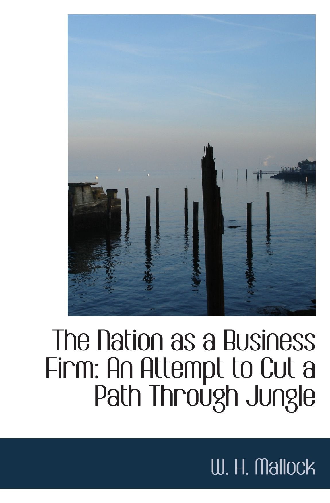 The Nation as a Business Firm: An Attempt to Cut a Path Through Jungle book