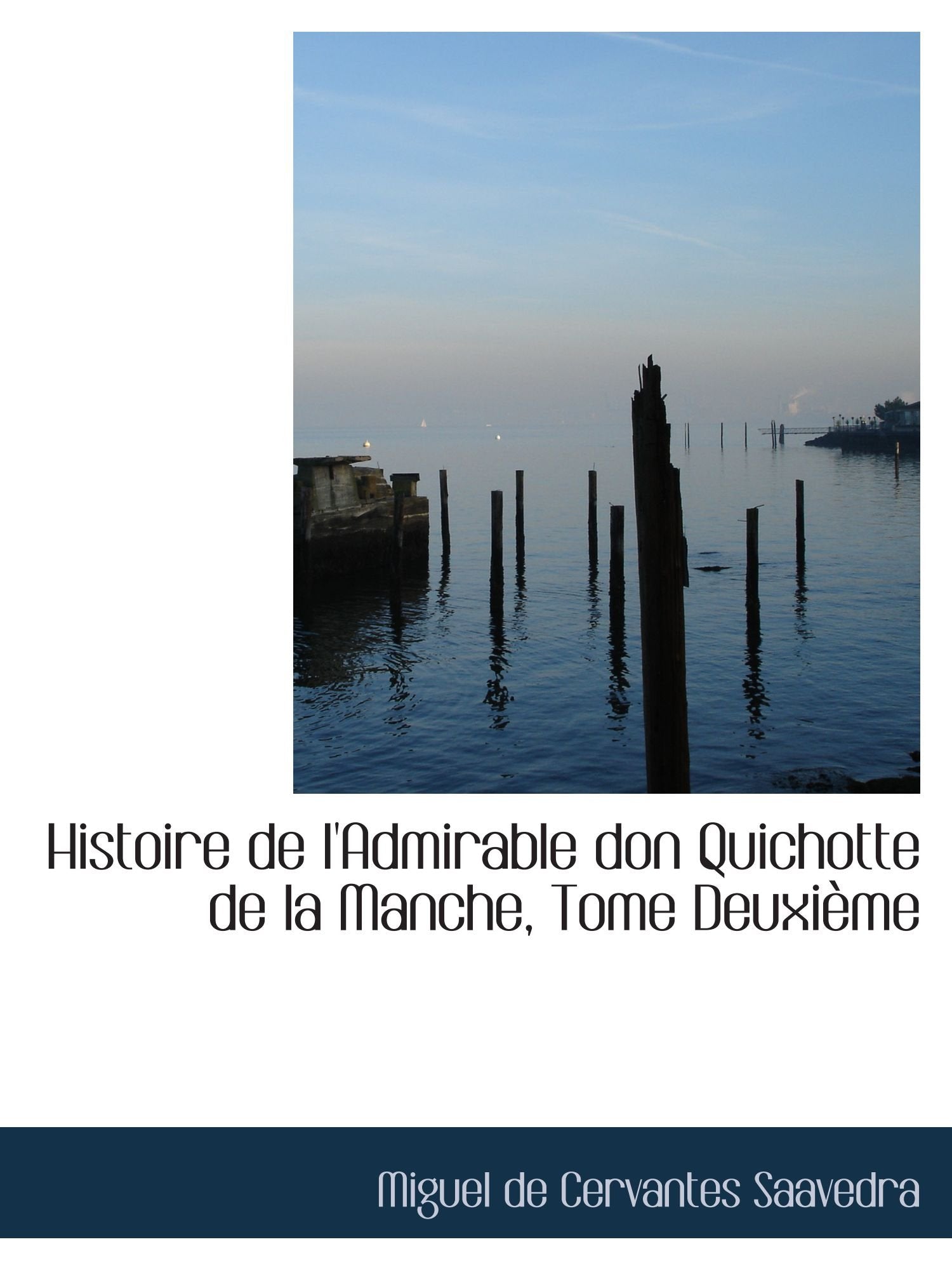 Histoire de l'Admirable don Quichotte de la Manche, Tome Deuxième Politics & History