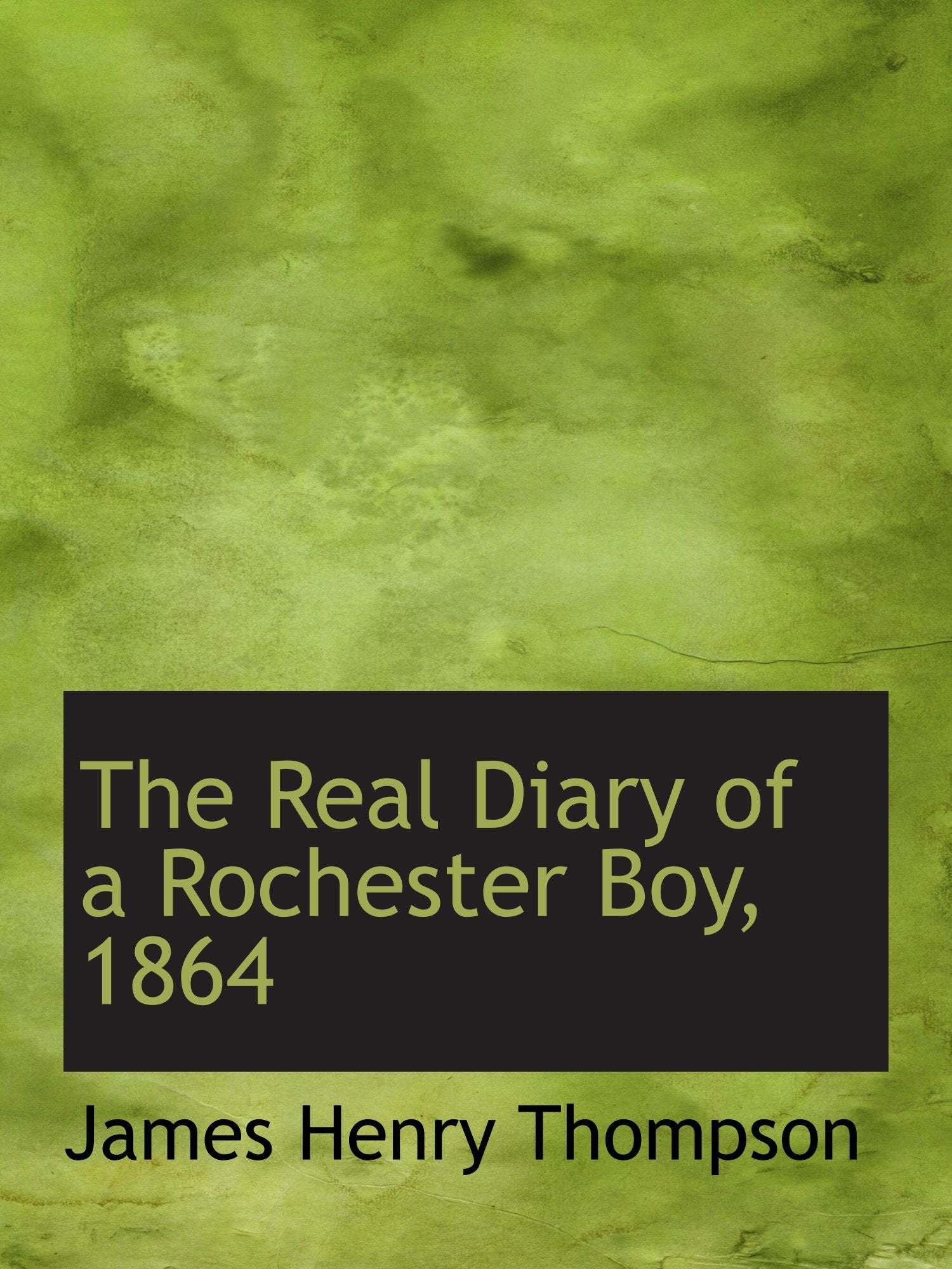 The Real Diary of a Rochester Boy, 1864 Politics & History