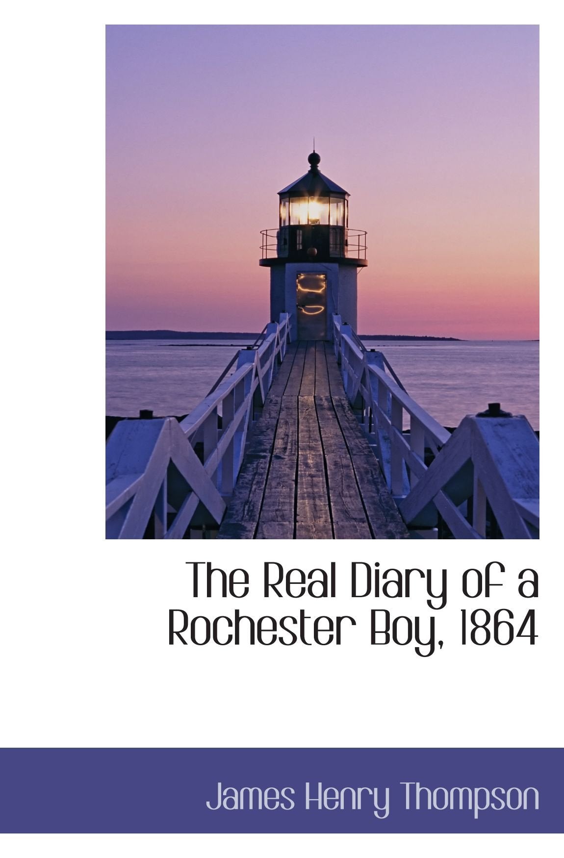 The Real Diary of a Rochester Boy, 1864 Politics & History
