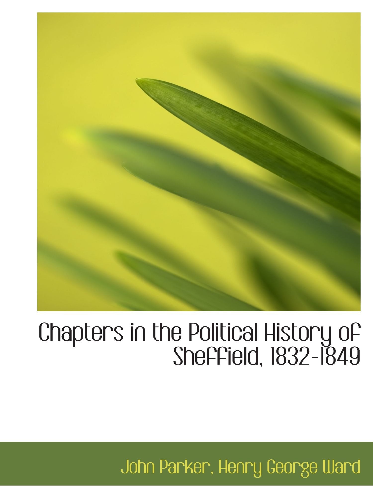 Chapters in the Political History of Sheffield, 1832-1849 Politics & History