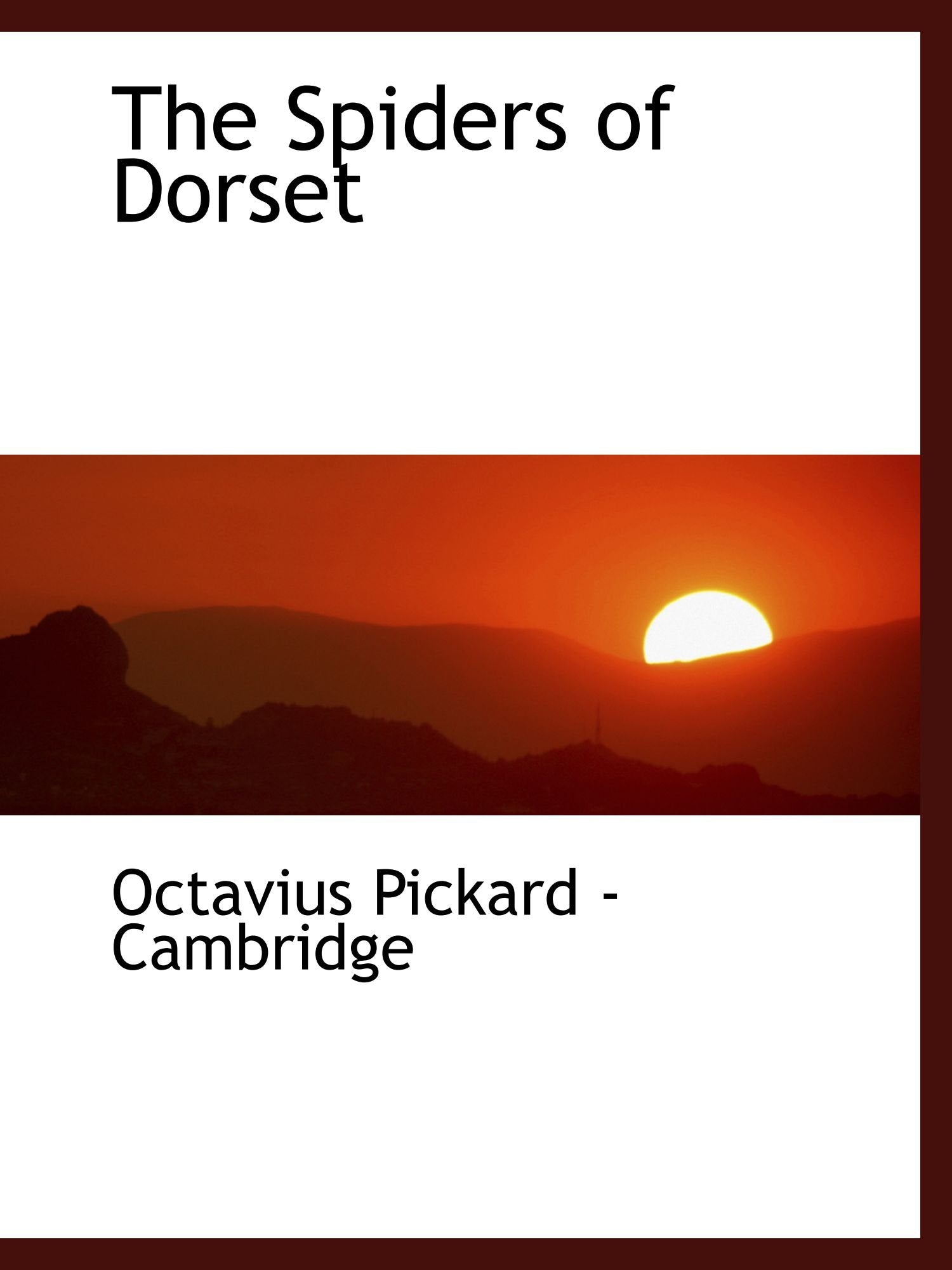 The Spiders of Dorset Mathematics