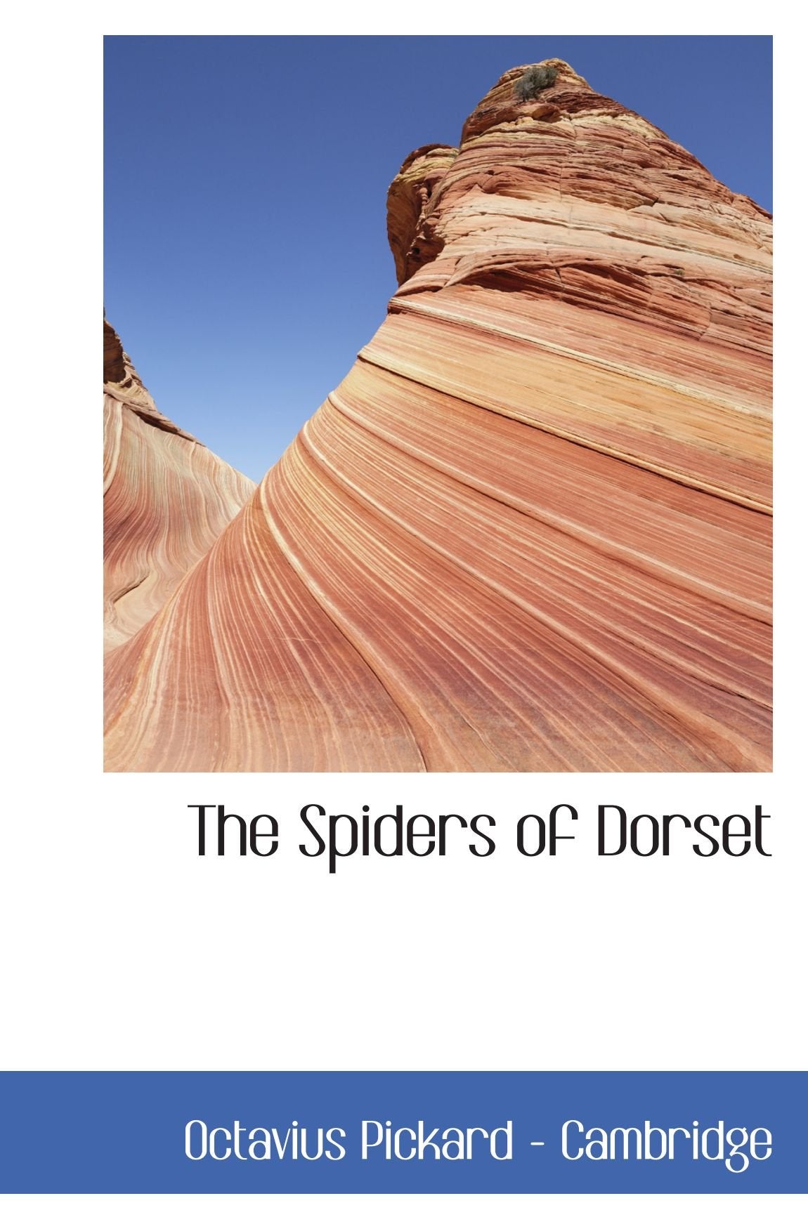 The Spiders of Dorset Mathematics