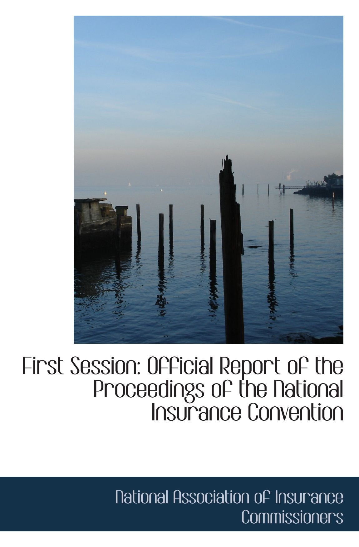 First Session: Official Report of the Proceedings of the National Insurance Convention Business, Finance & Career