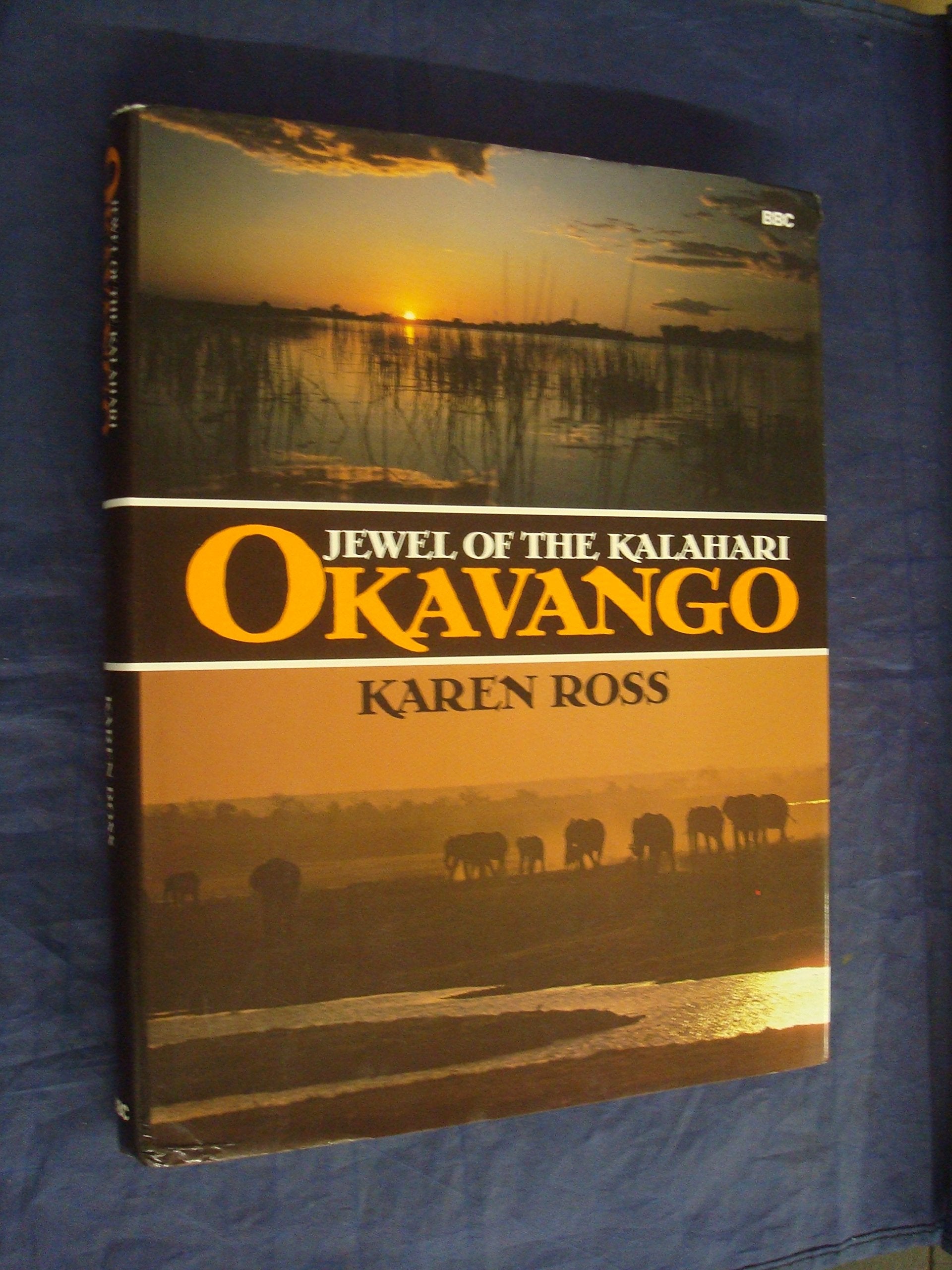 Okavango: Jewel of the Kalahari Mathematics