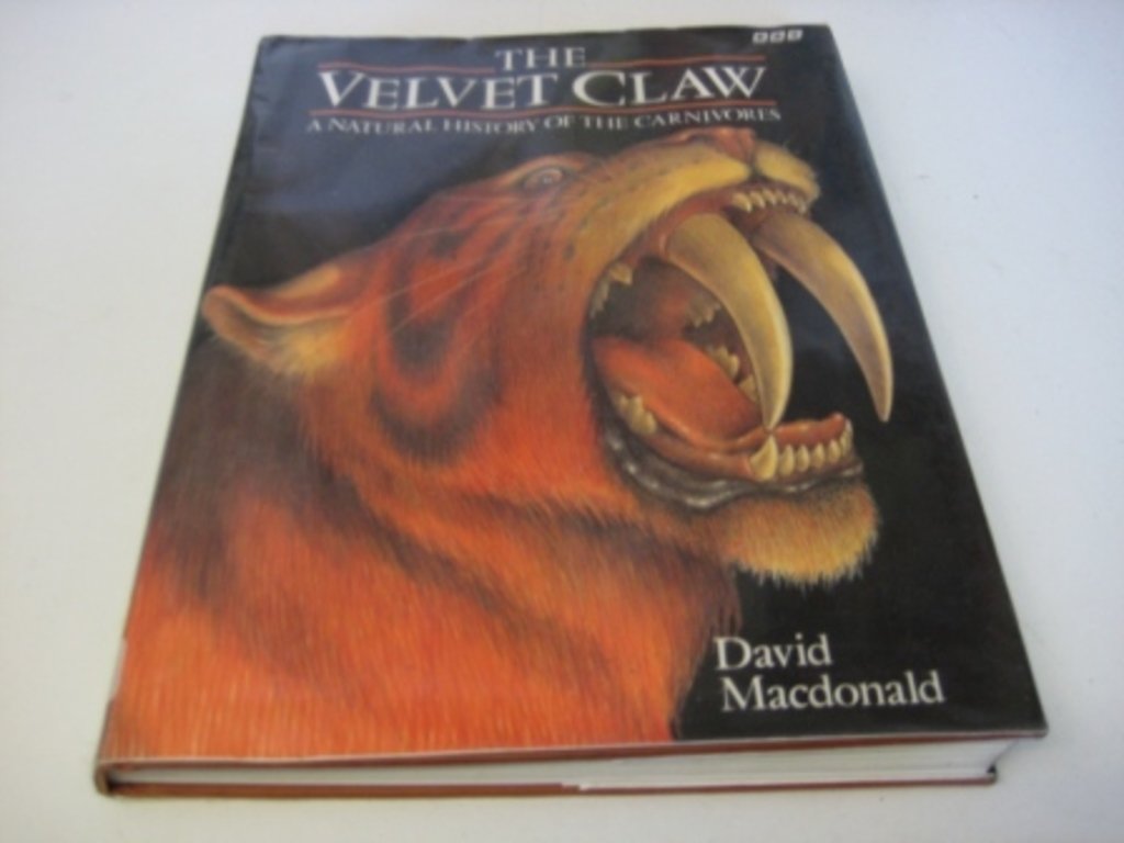 The Velvet Claw: A Natural History of the Carnivores Mathematics