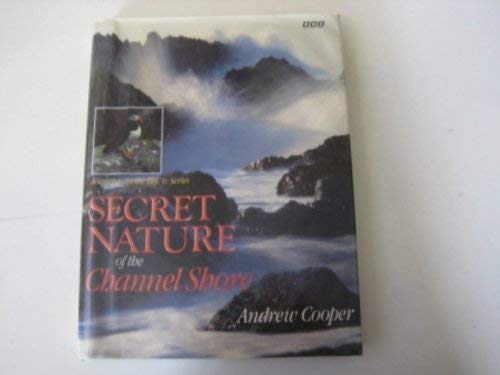 Secret Nature of the Channel Shore Mathematics