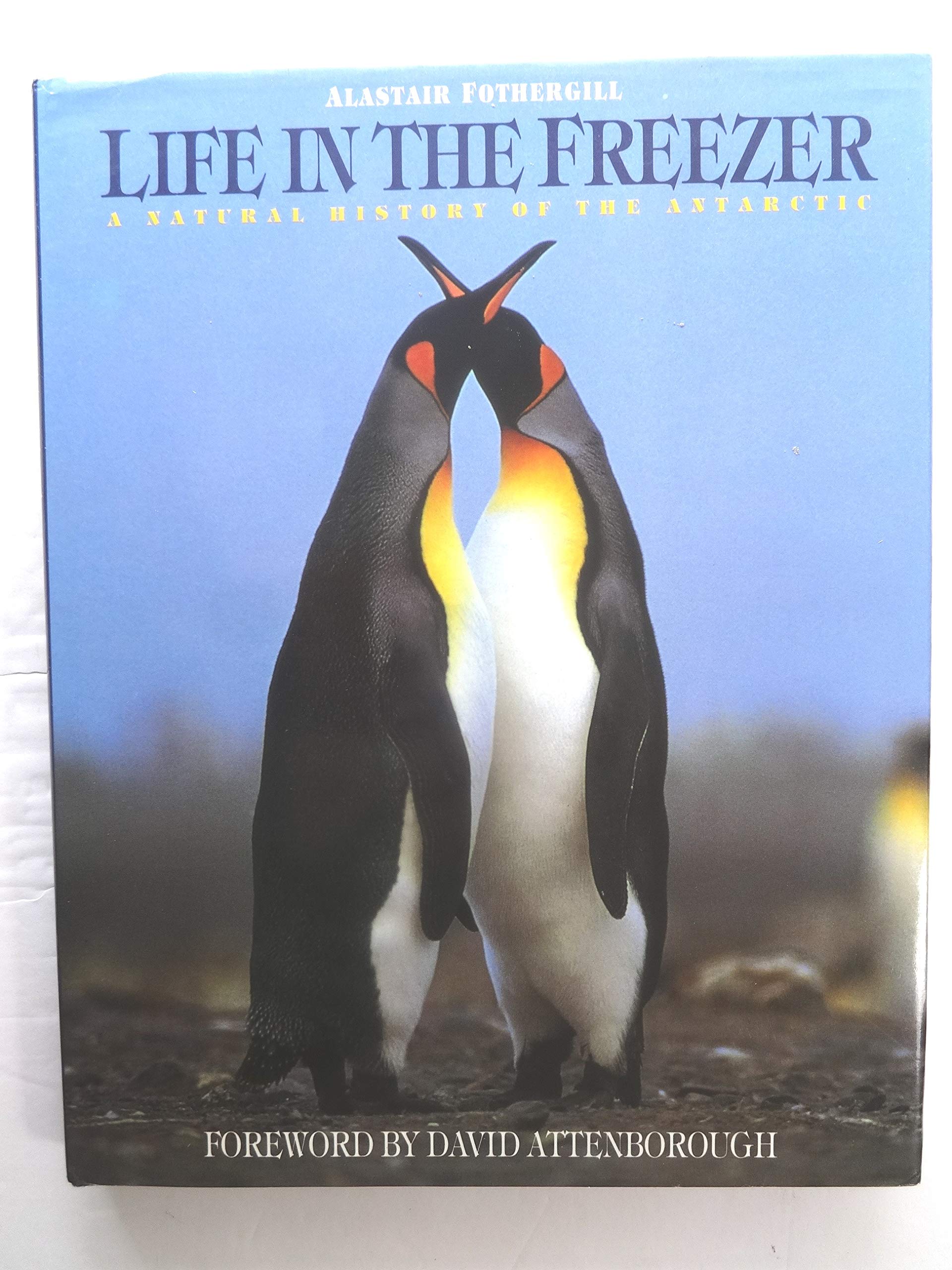Life in the Freezer: Natural History of the Antarctic Mathematics