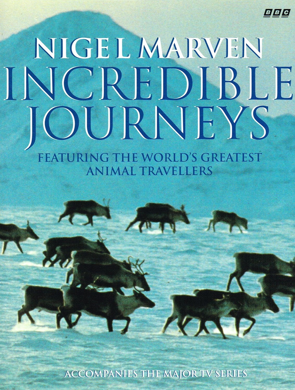 Incredible Journeys: Featuring the World's Greatest Animal Travellers Mathematics