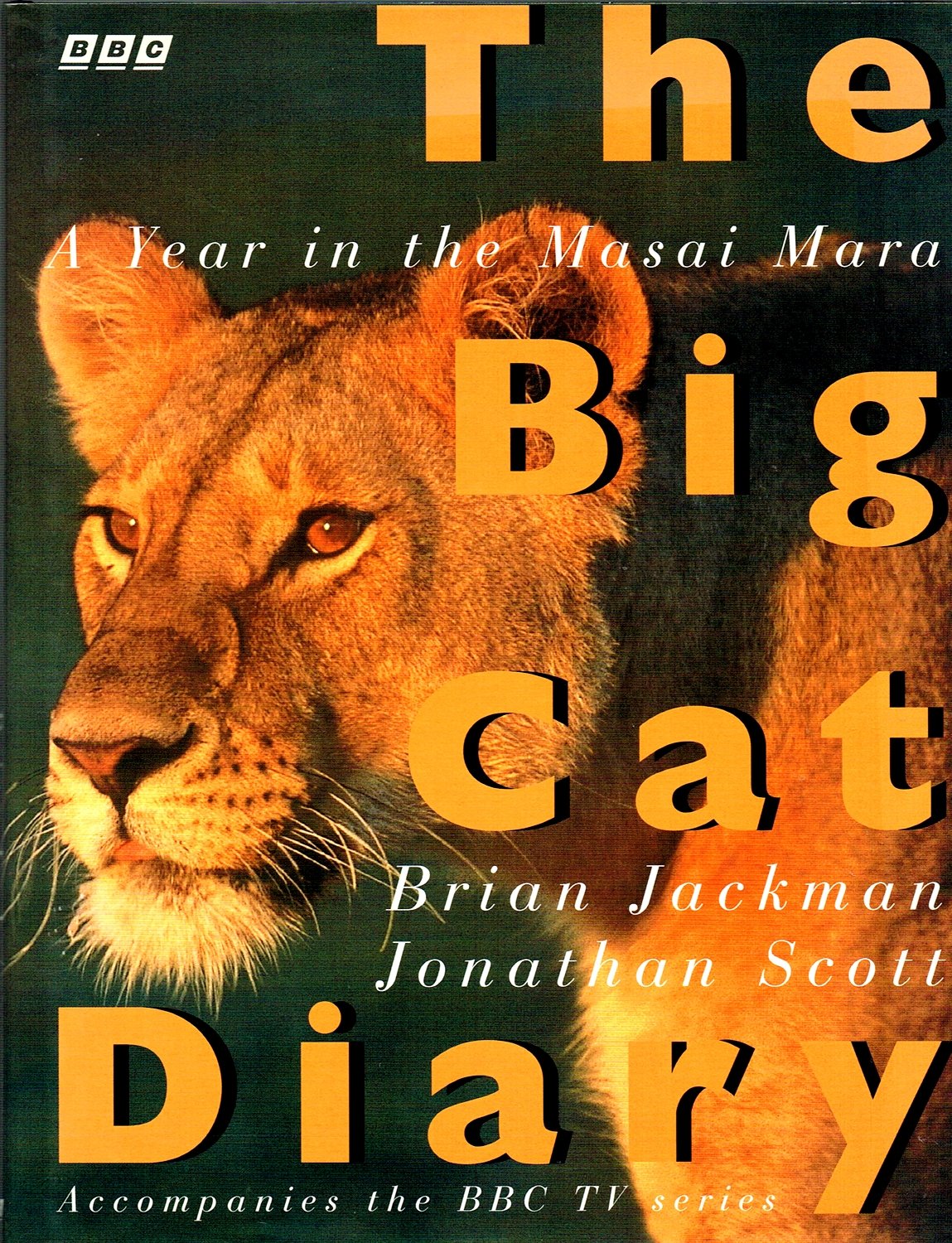 The Big Cat Diary: Year in the Masai Mara Mathematics