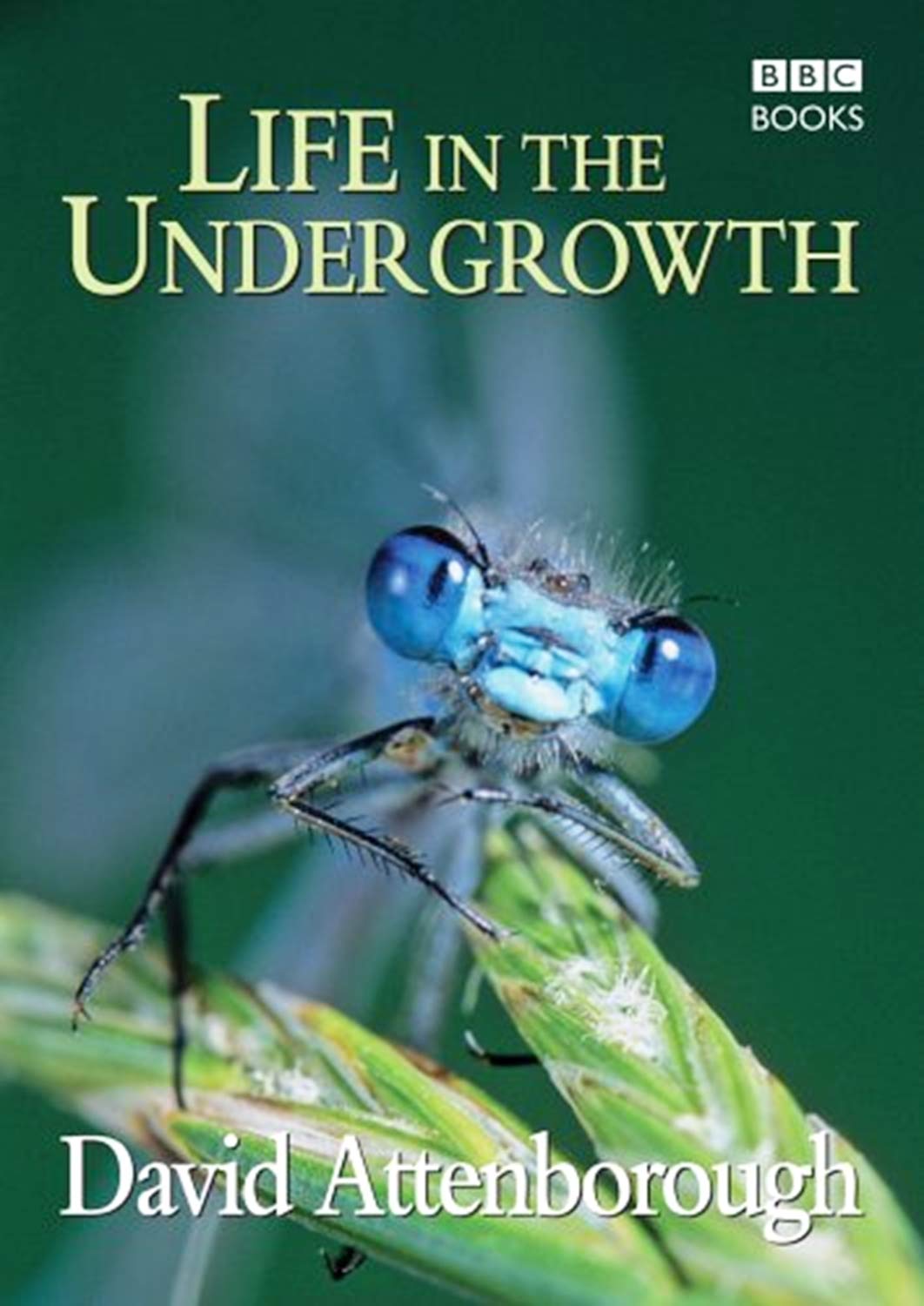 Life in the Undergrowth Mathematics