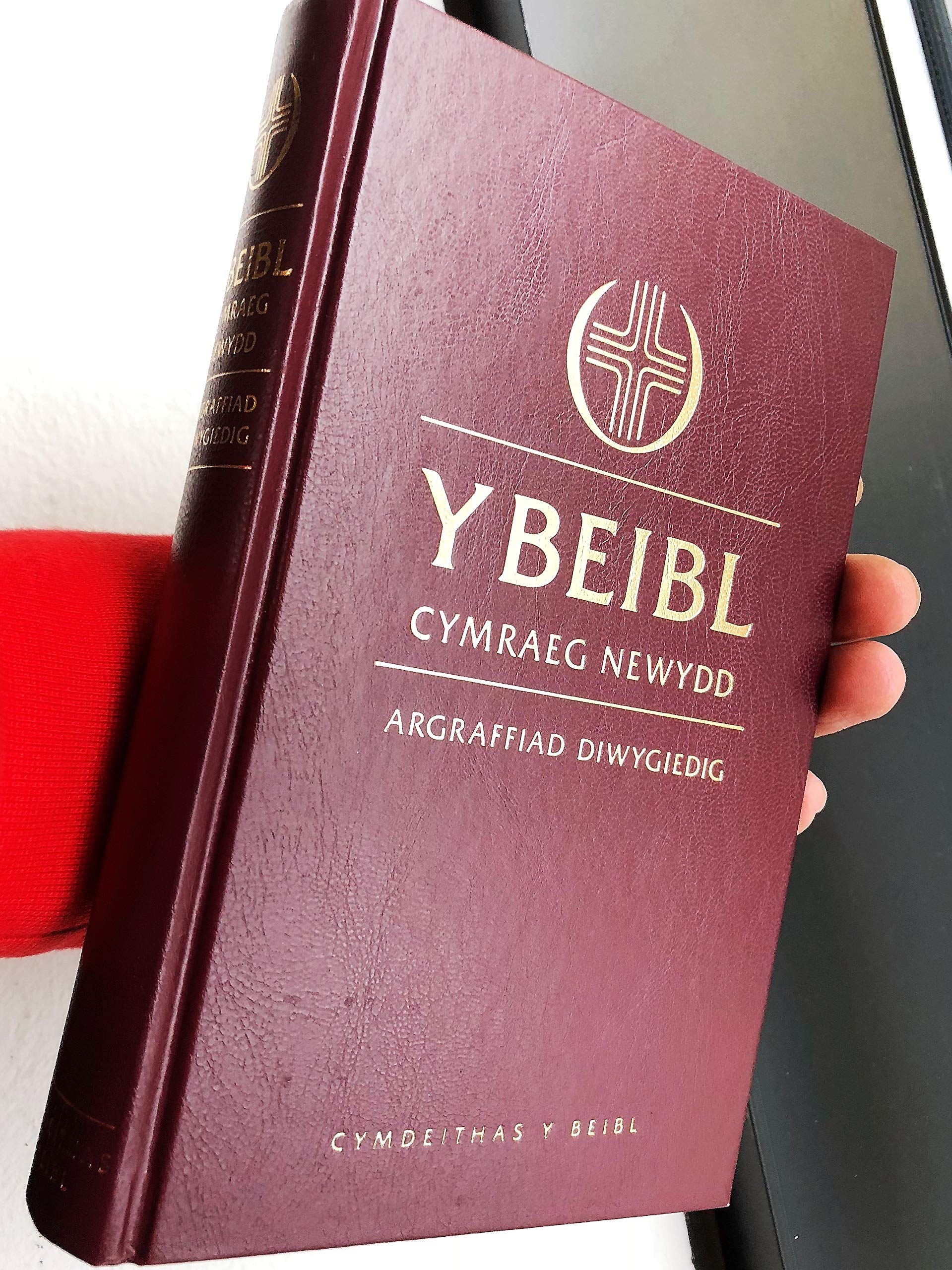 Y Beibl Cymraeg Newydd Religion & Esotericism