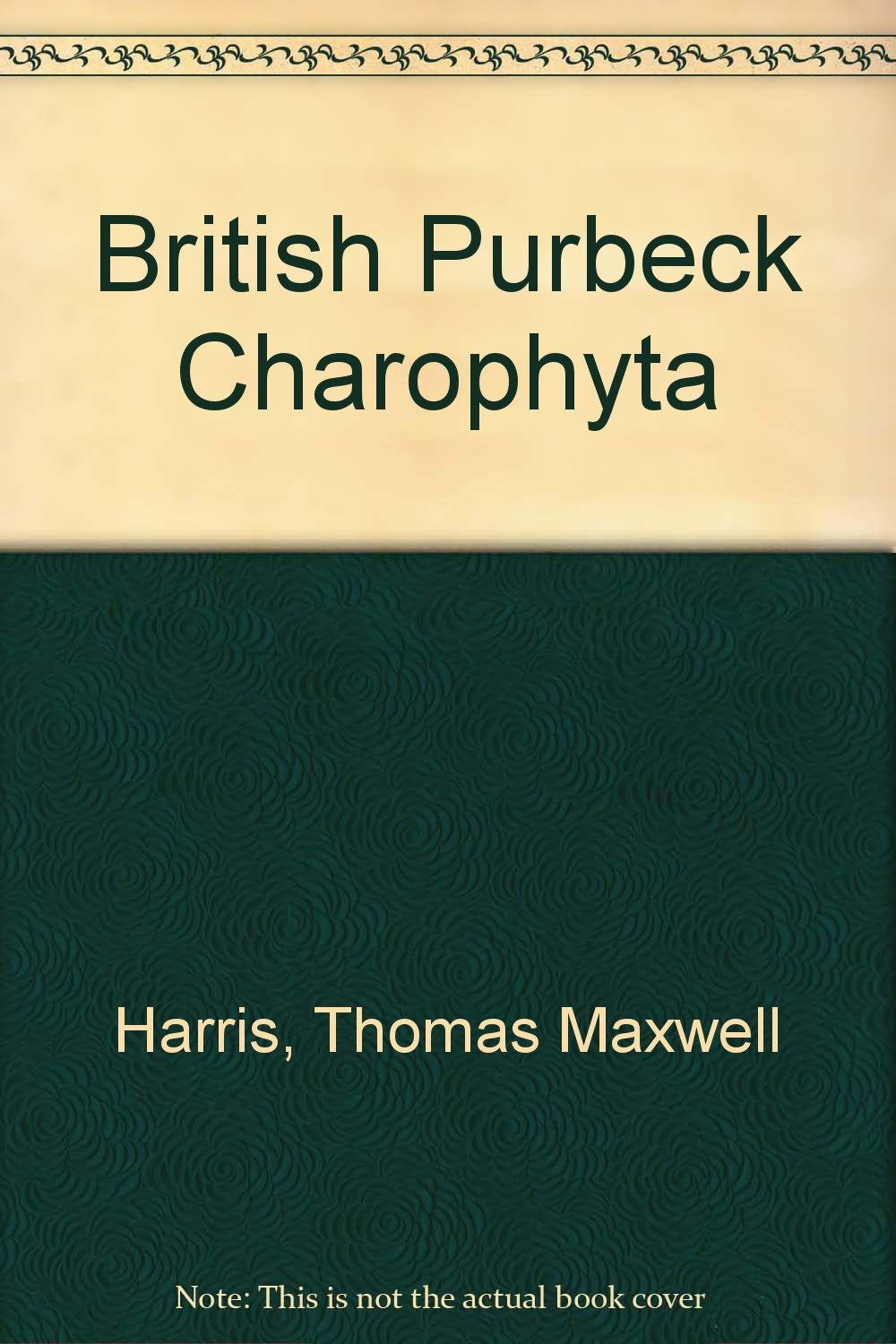 Product Image: British Purbeck Charophyta