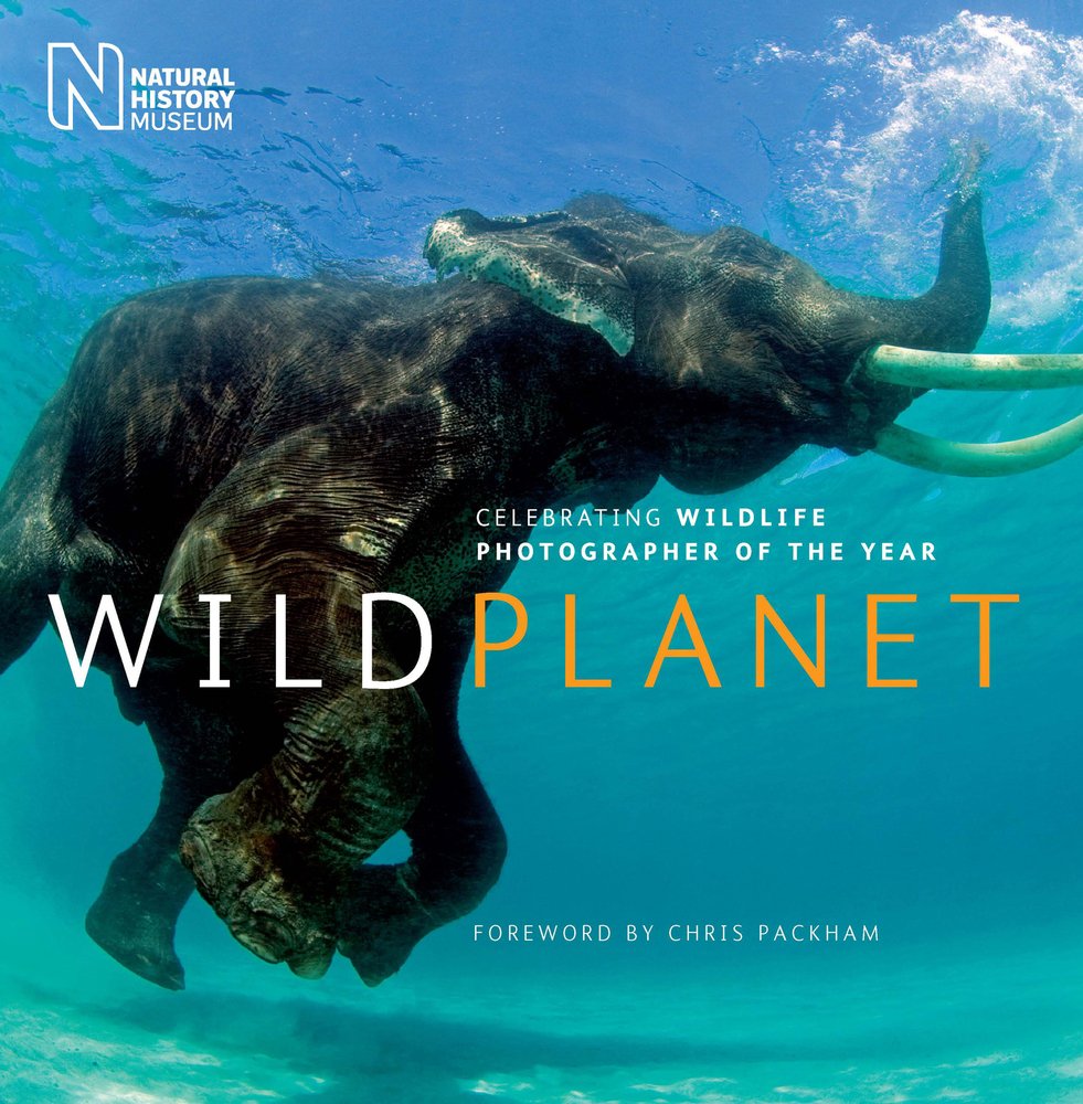 Wild Planet: Celebrating Wildlife Photographer of the Year Mathematics