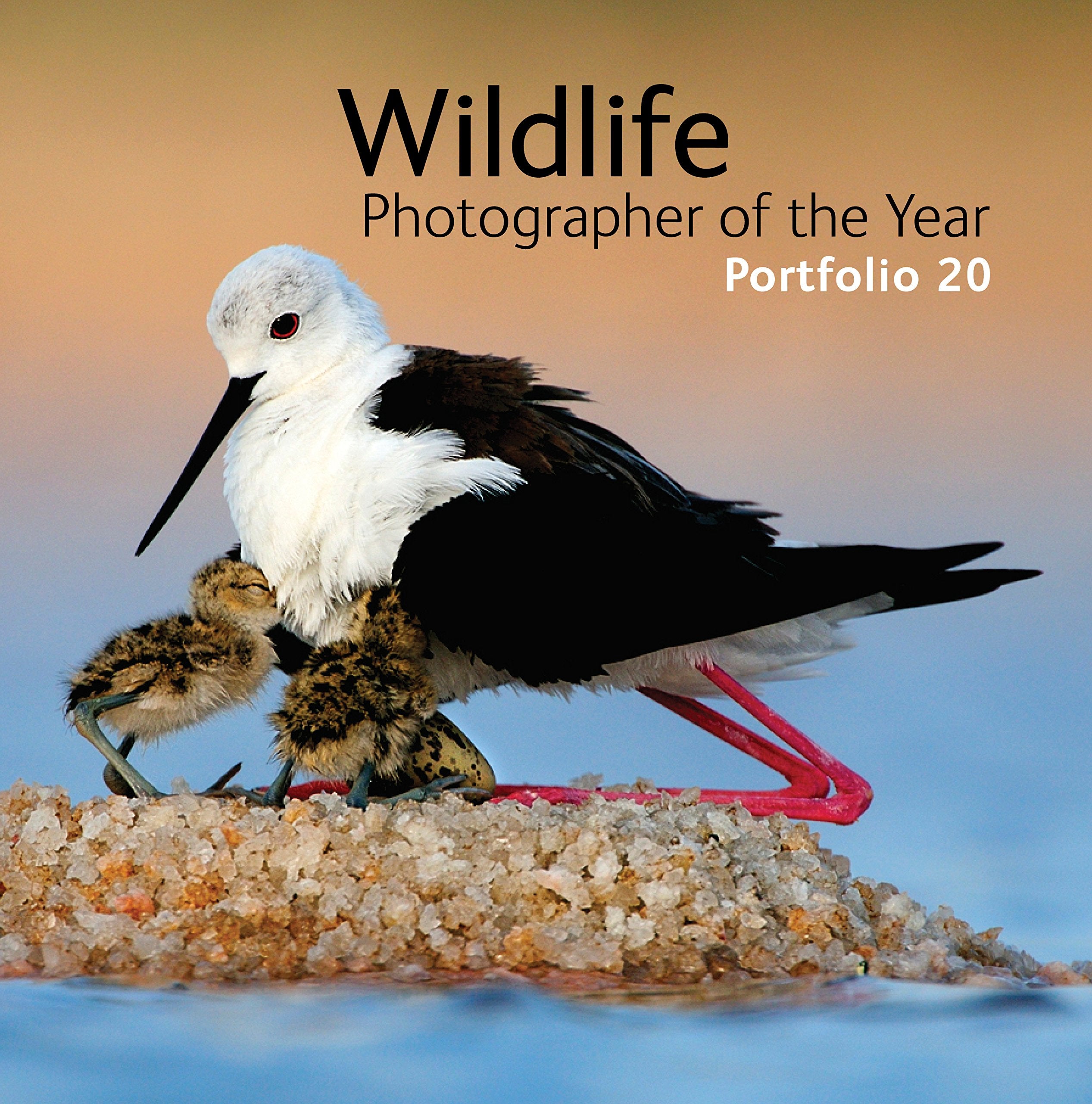 Wildlife Photographer of the Year: Portfolio 20 Travel