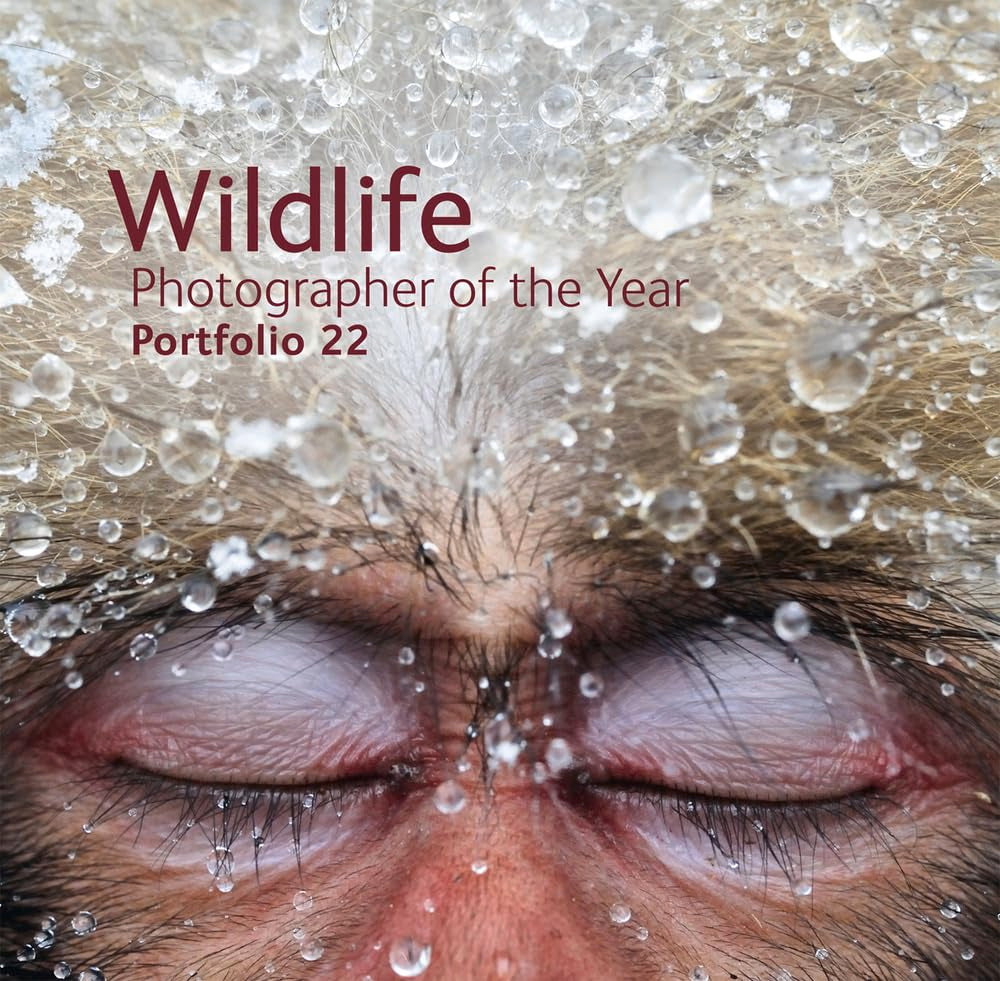 Wildlife Photographer of the Year: Portfolio 22 Travel