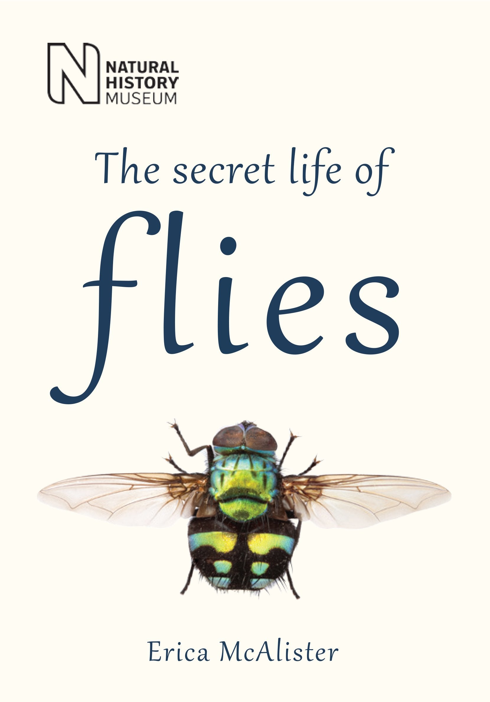 The Secret Life of Flies Mathematics