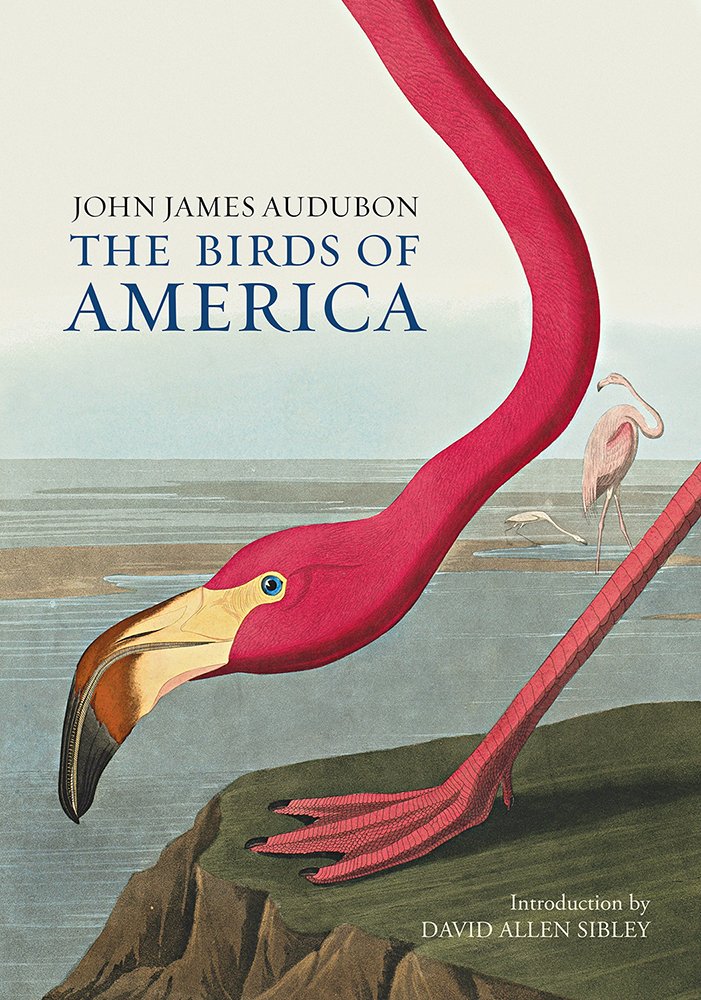 The Birds of America Mathematics