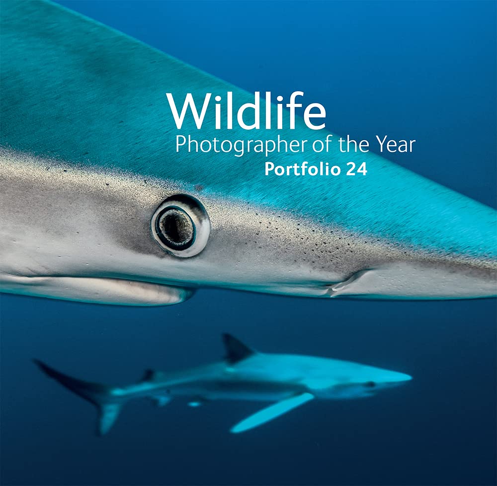 Wildlife Photographer of the Year: Portfolio 24 Travel
