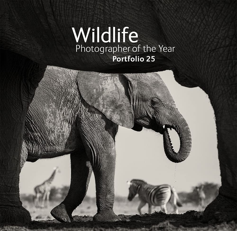 Wildlife Photographer of the Year: Portfolio 25 Mathematics