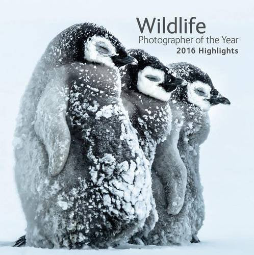 Wildlife Photographer of the Year: 2016 Highlights book