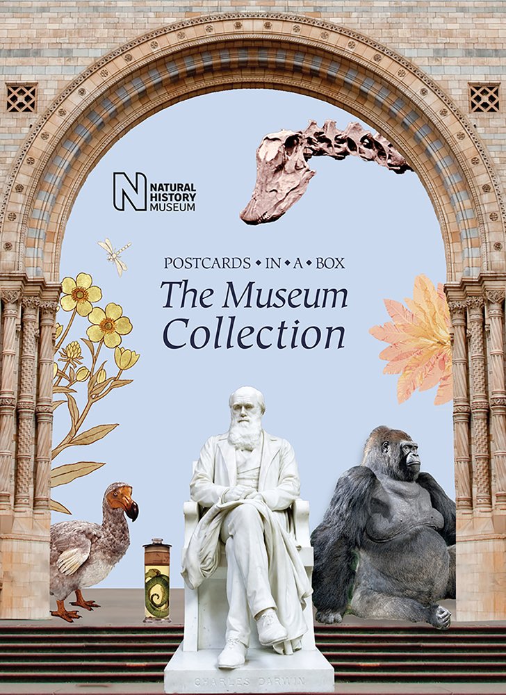 The Museum Collection: Postcards in a Box Media & Communication
