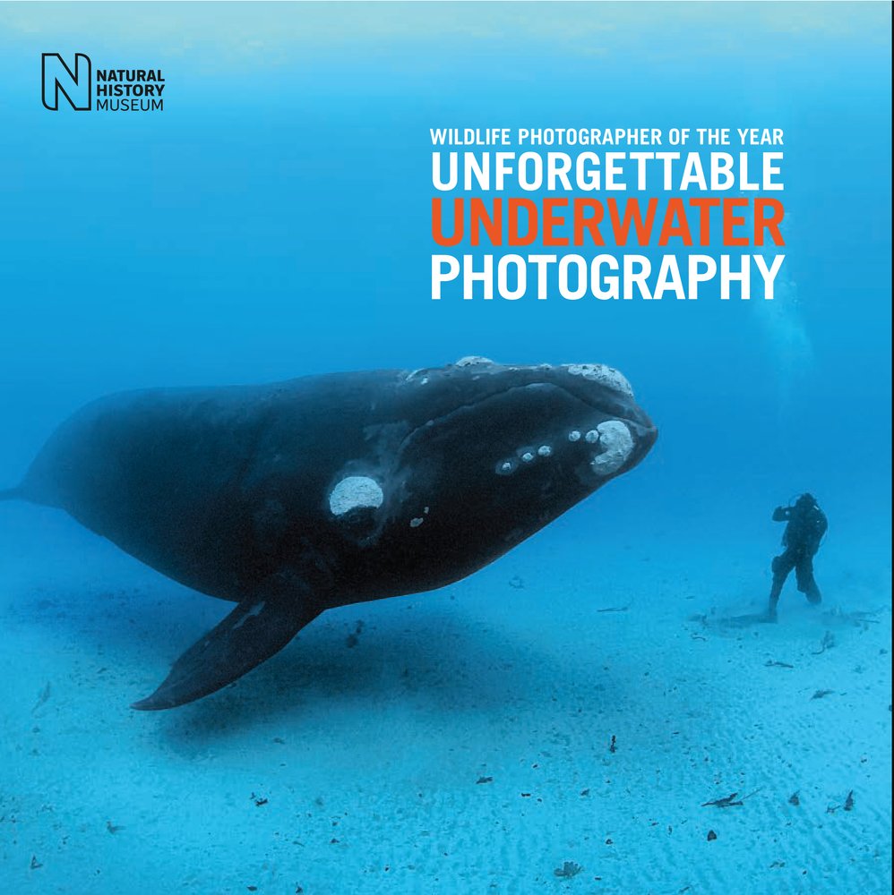Wildlife Photographer of the Year: Unforgettable Underwater Photography Mathematics
