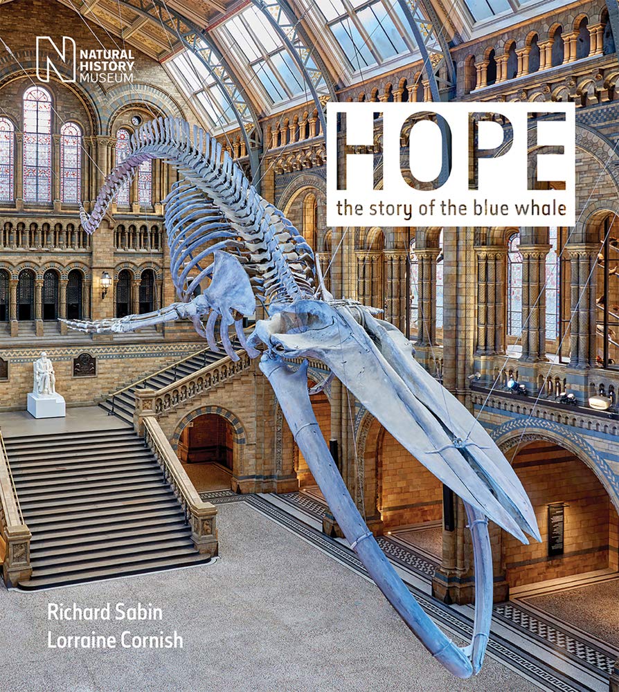 Hope: The Story of the Blue Whale Geology & Geography