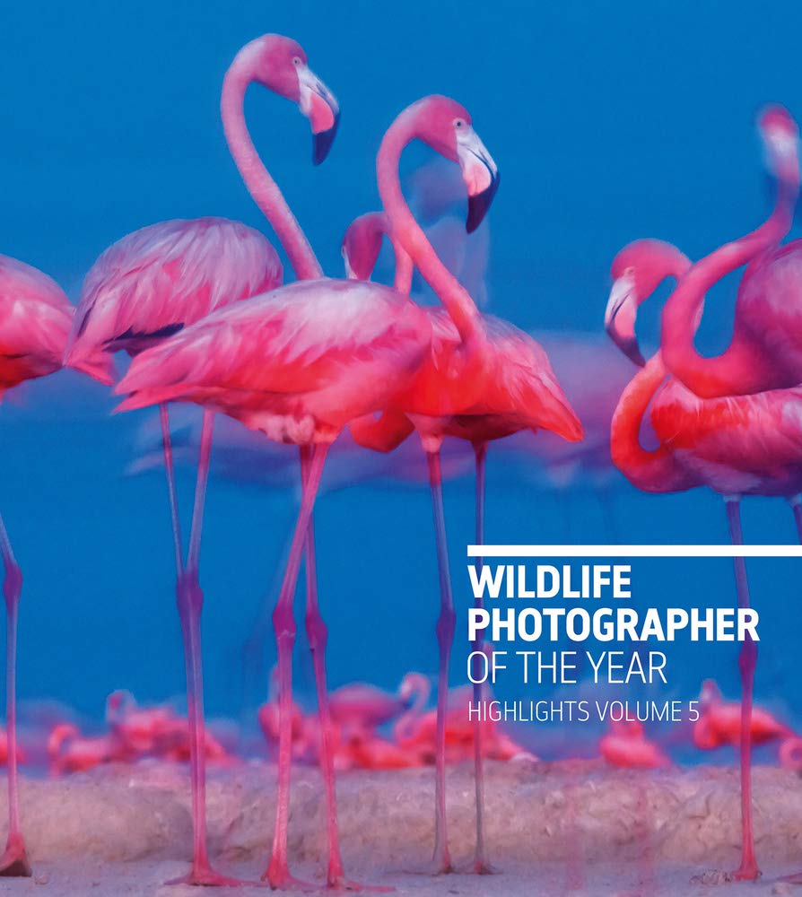 Wildlife Photographer of the Year: Highlights Travel