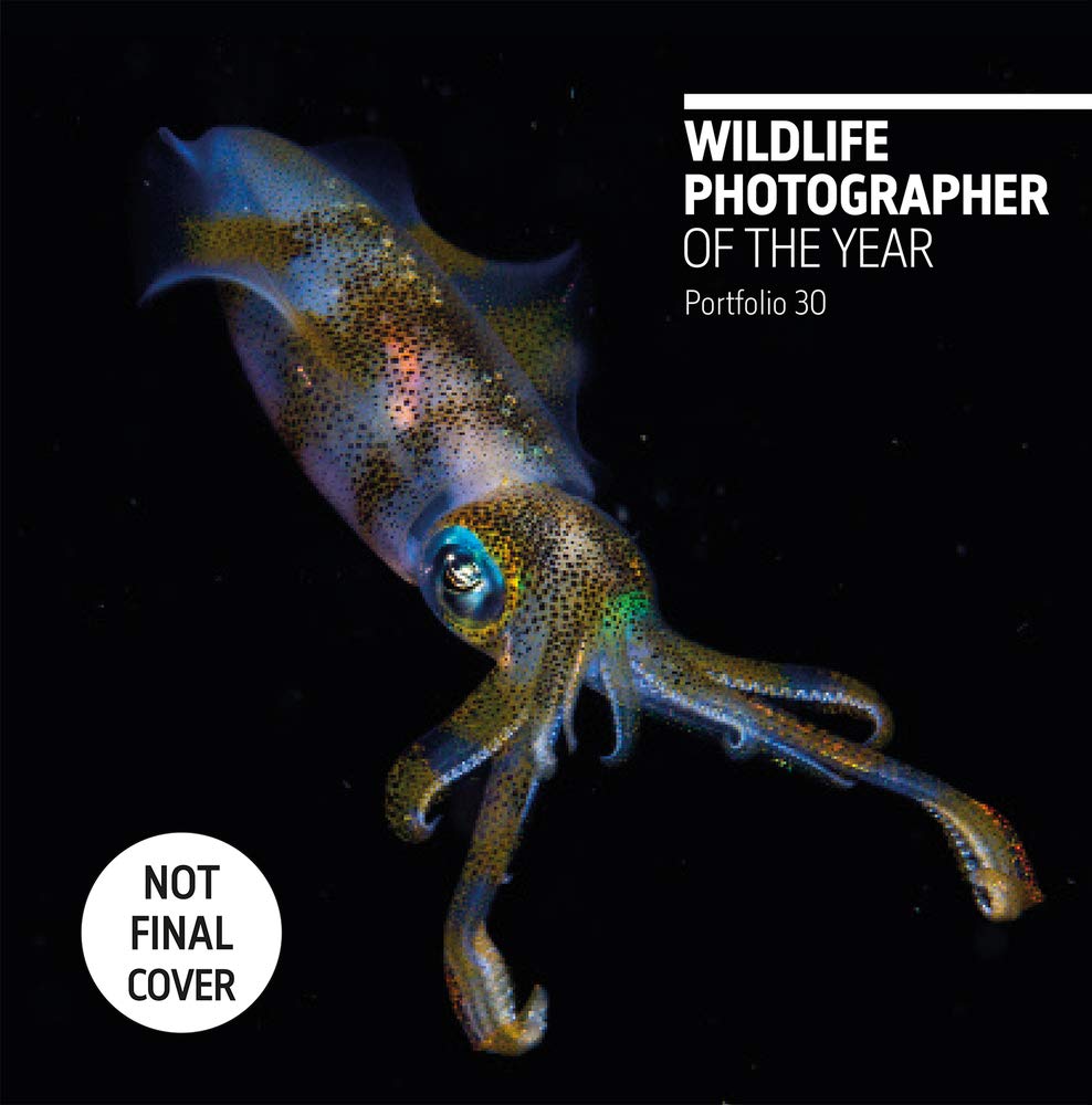 Wildlife Photographer of the Year: Portfolio 30 Travel