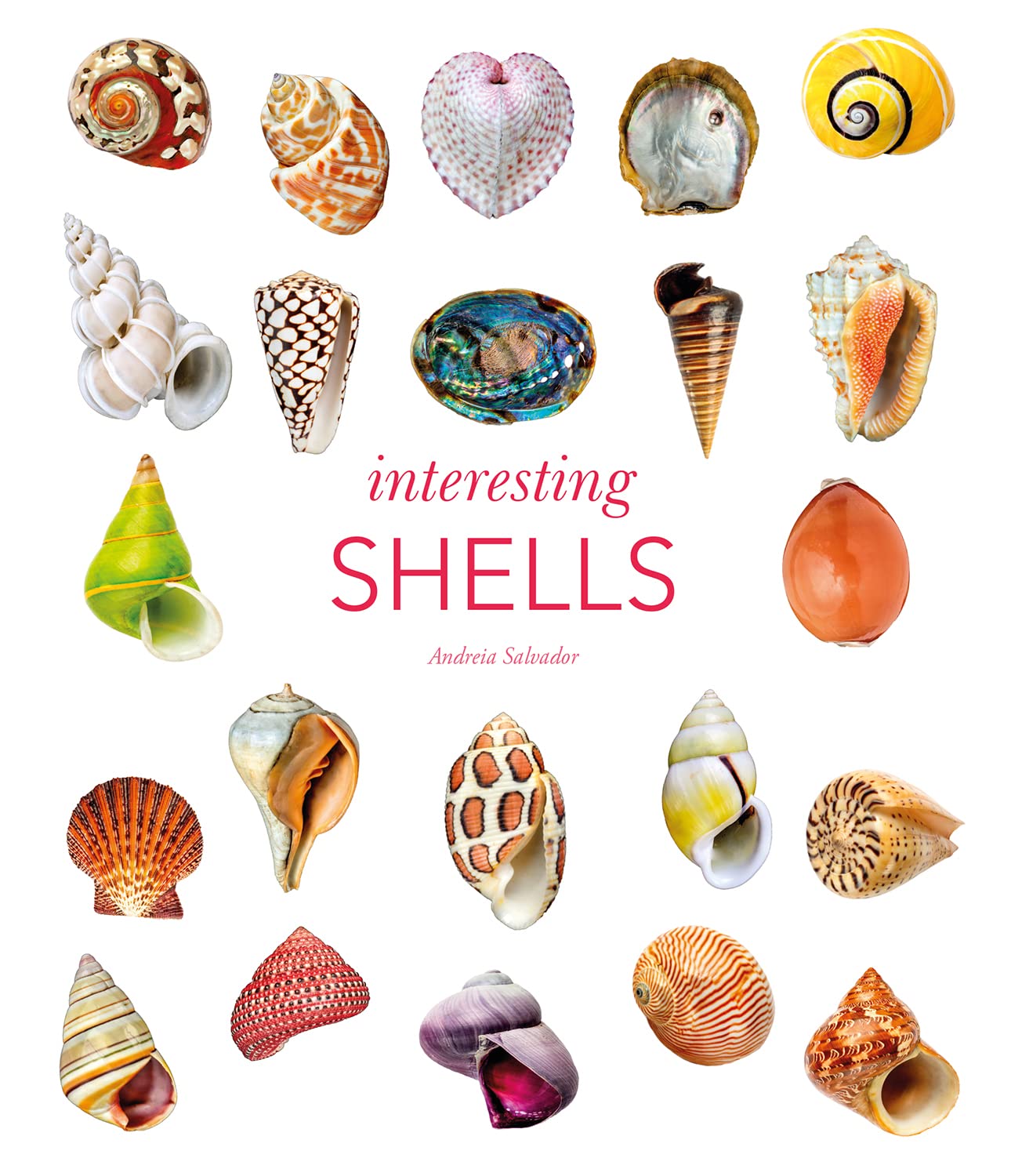 Interesting Shells Travel Books