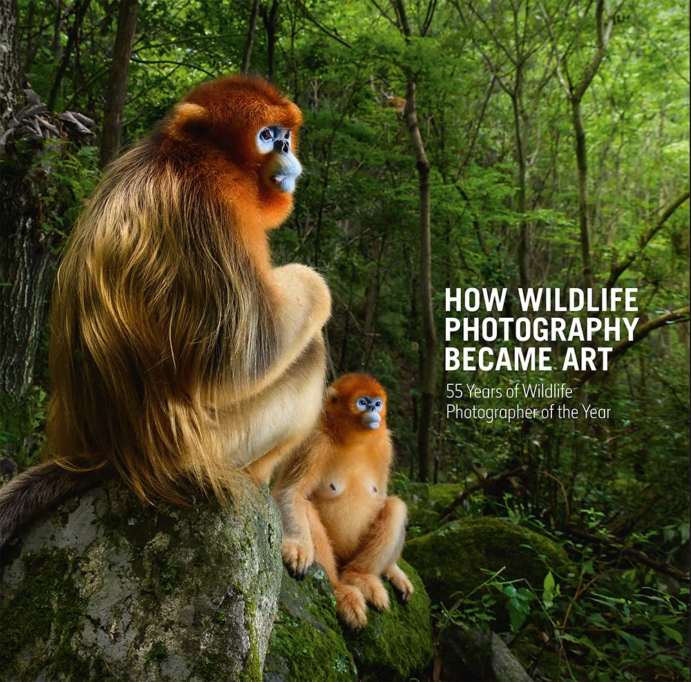 How Wildlife Photography Became Art Mathematics