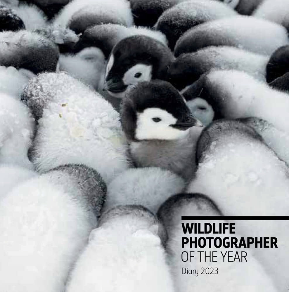 Wildlife Photographer of the Year Pocket Diary, 2023 book