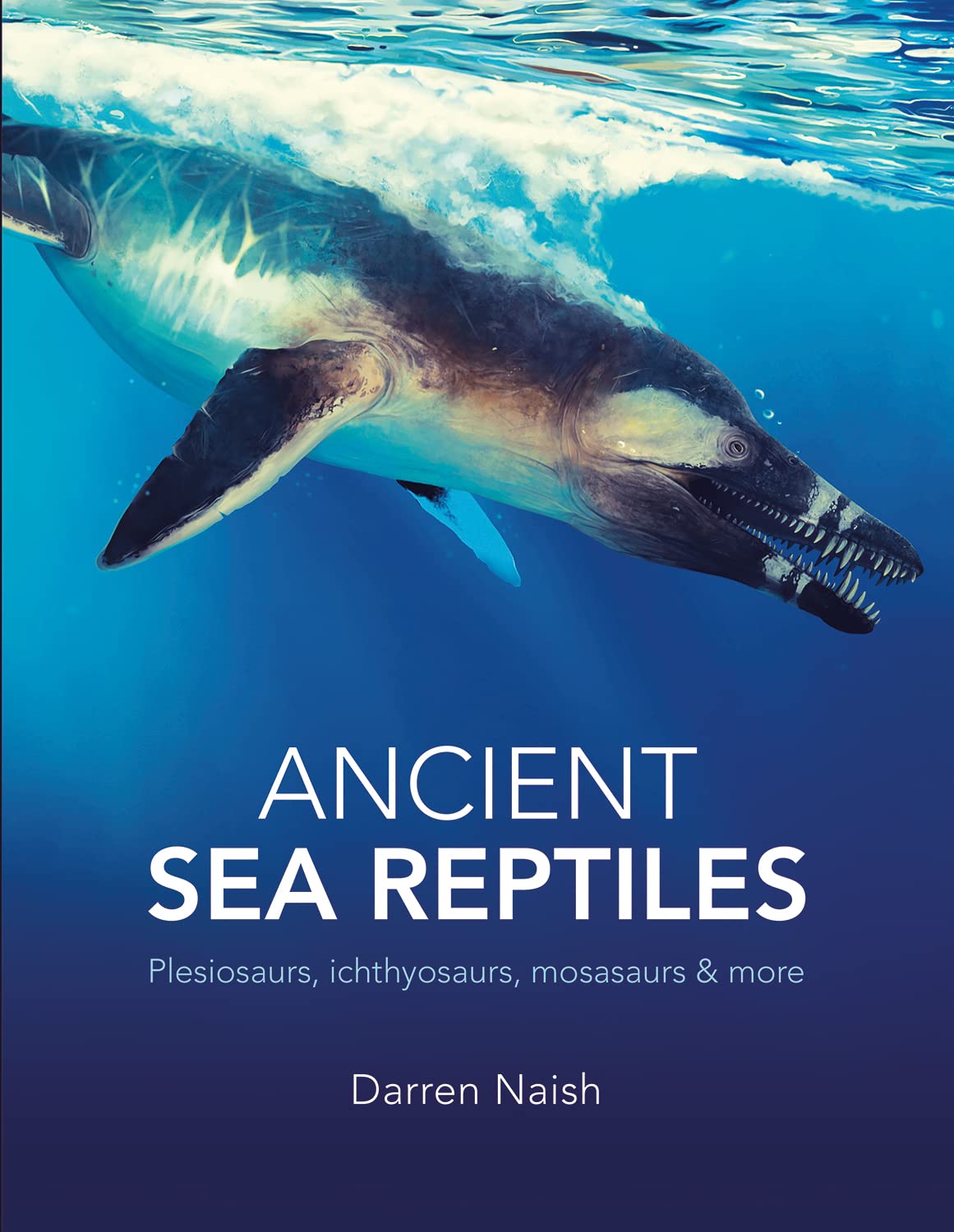 Ancient Sea Reptiles: Plesiosaurs, ichthyosaurs, mosasaurs and more Mathematics