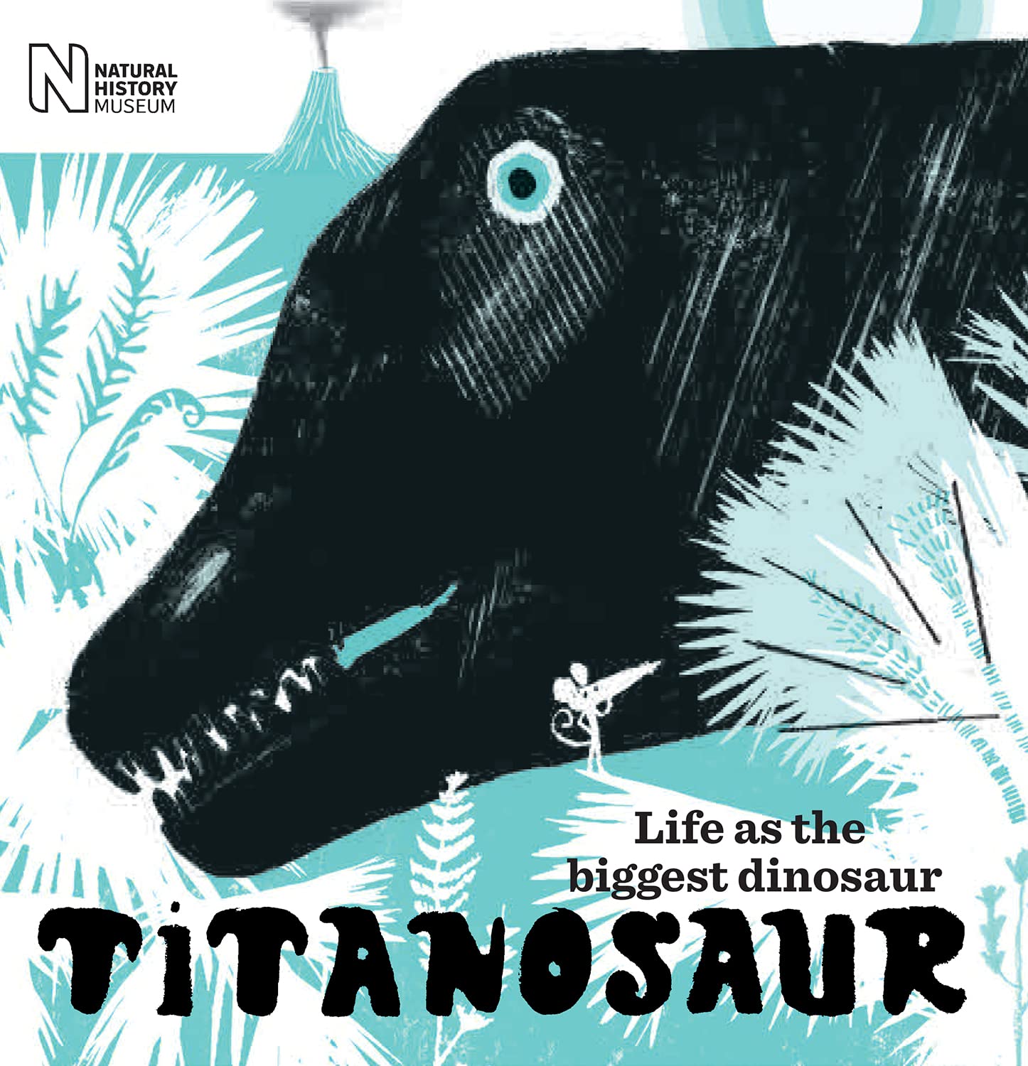 Titanosaur: Life As the Biggest Dinosaur book