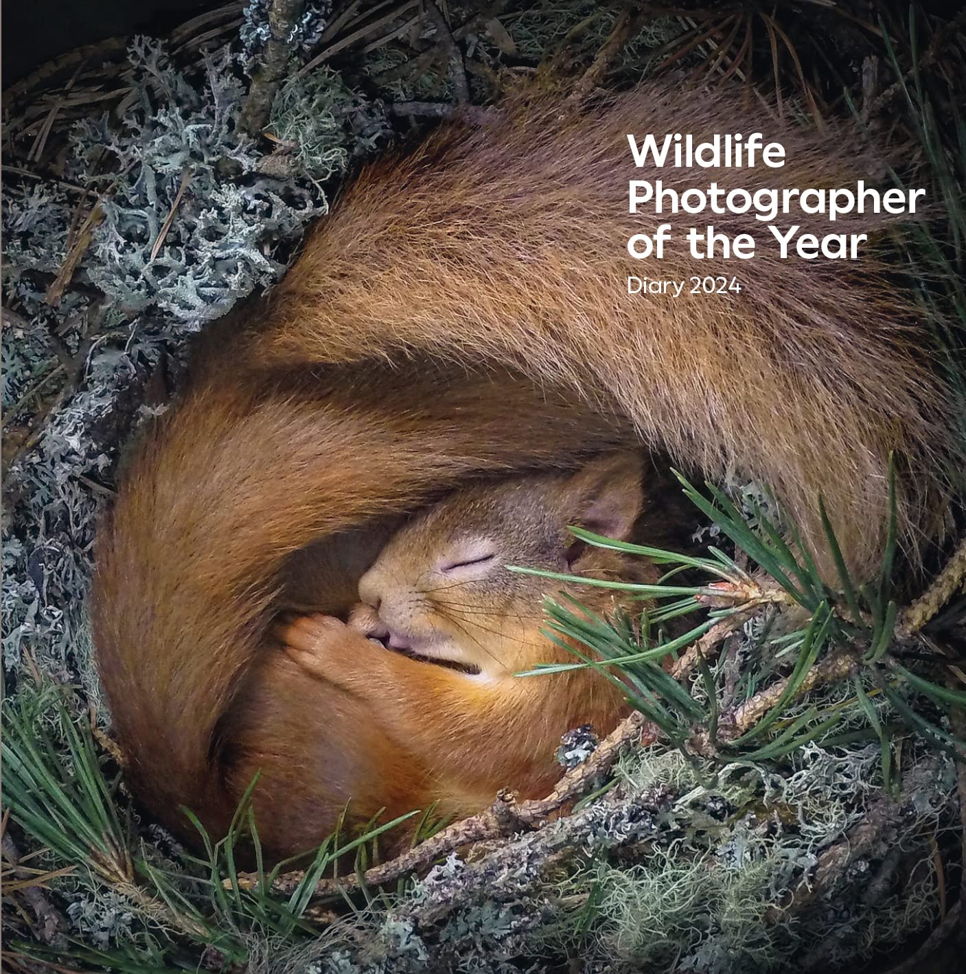 Wildlife Photographer of the Year Pocket Diary 2024 book