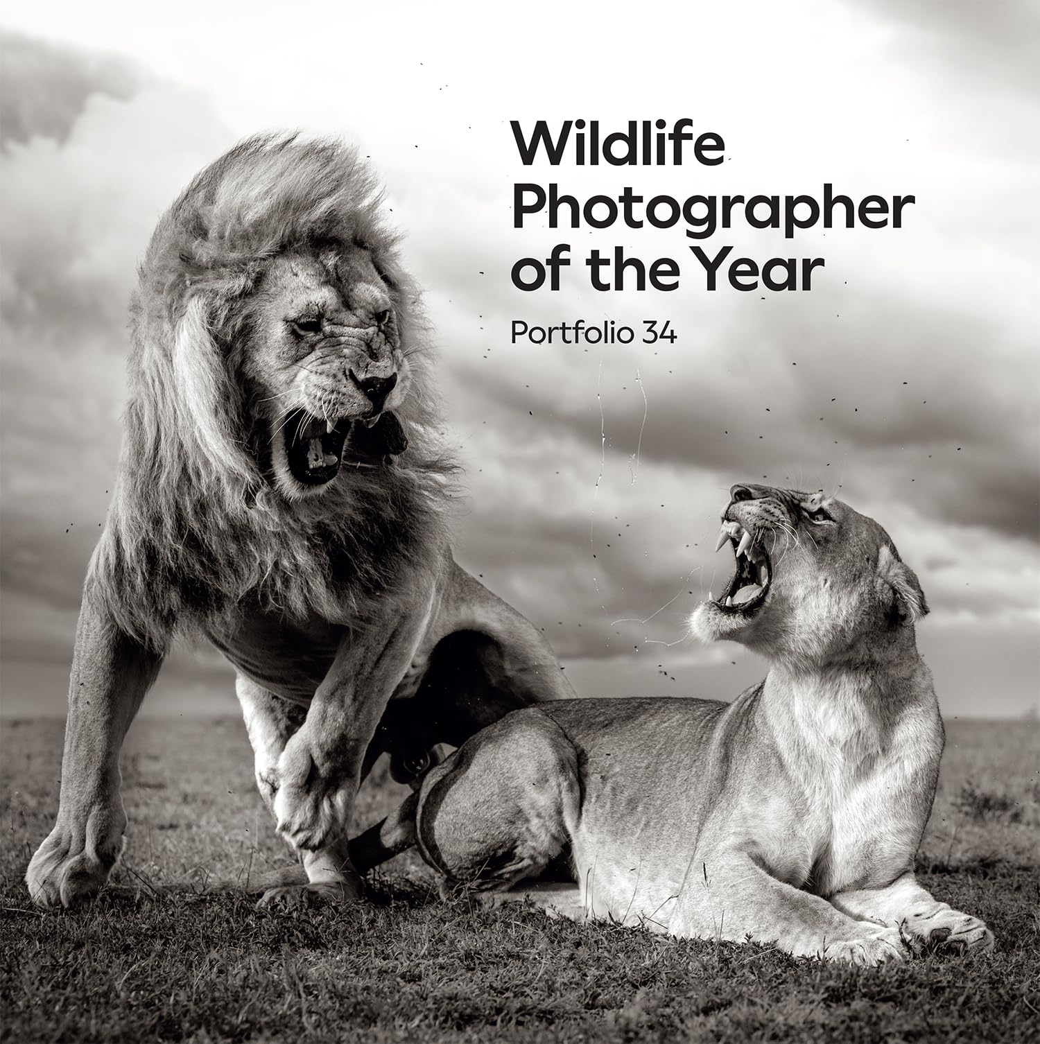 Wildlife Photographer of the Year: Portfolio 34: Volume 34 (Wildlife Photographer of the Year, 34) Travel Books