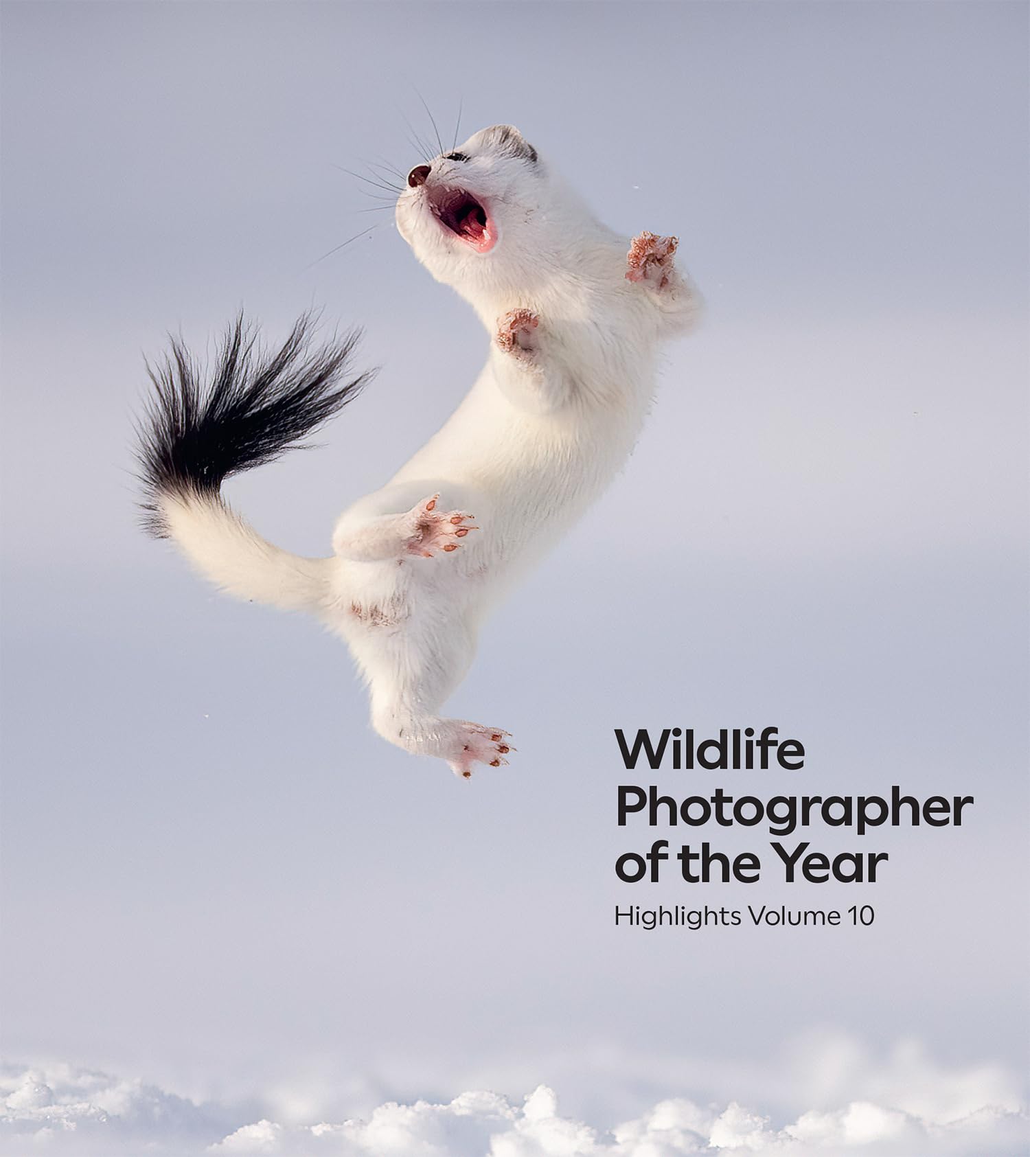 Wildlife Photographer of the Year: Highlights Volume 10 Mathematics