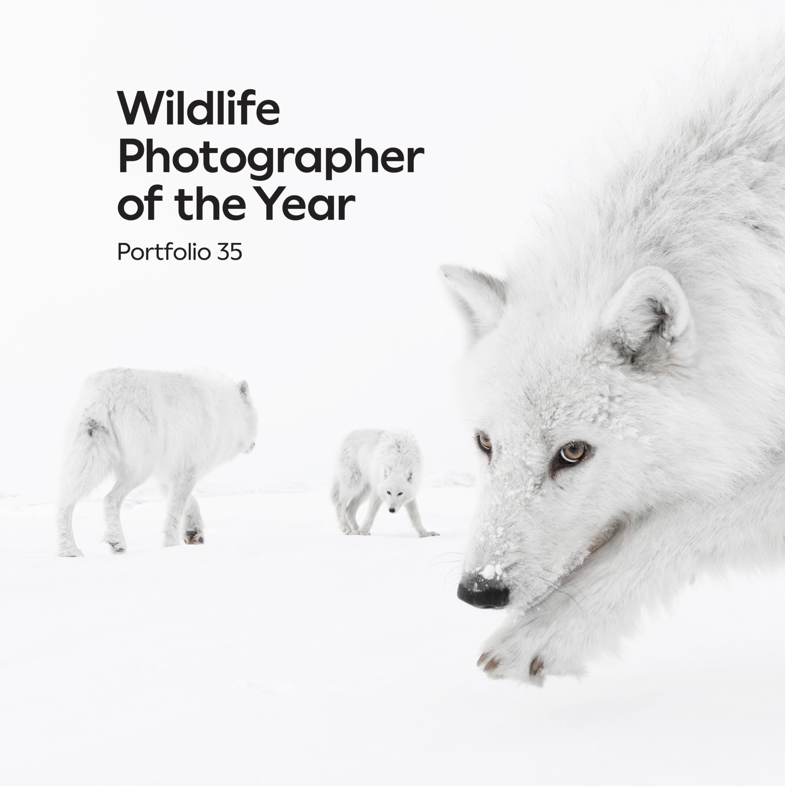 Wildlife Photographer of the Year: Portfolio 35 Mathematics