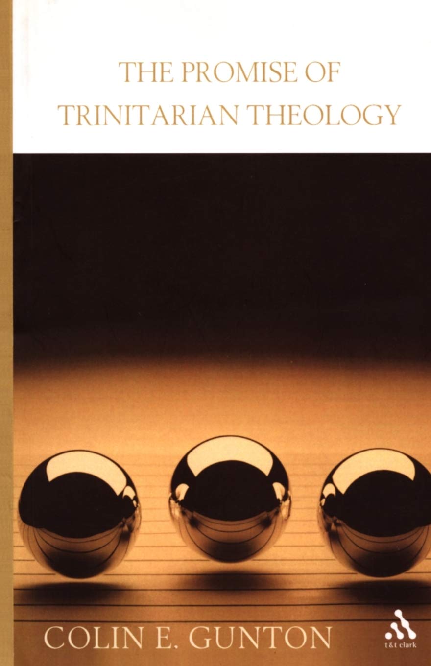 The Promise of Trinitarian Theology Philosophy