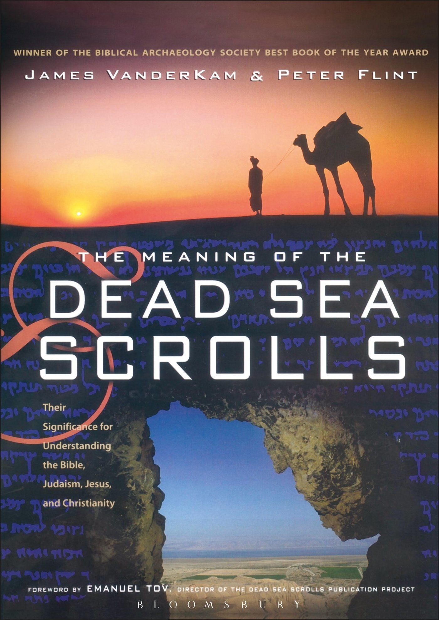 The Meaning of the Dead Sea Scrolls Social Sciences