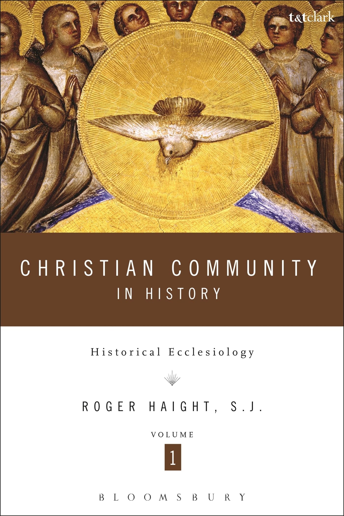 Christian Community in History Volume 1: Historical Ecclesiology book